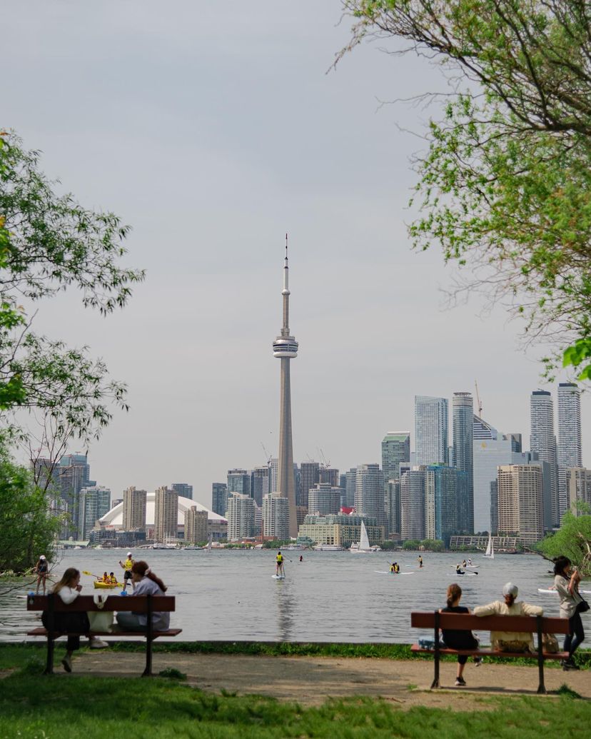 Counting down the days until the Toronto Harbour looks like this... 😍 📸 eagle.hawks.eyes on IG