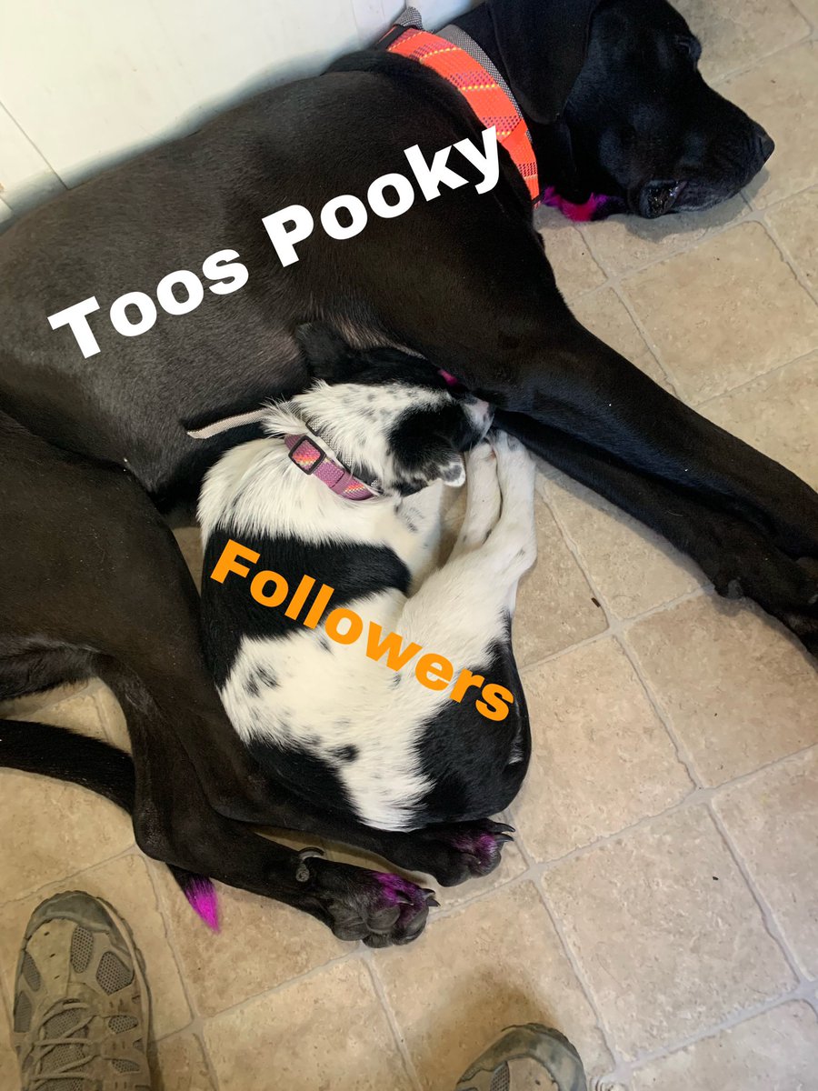 Jbaby tweet media