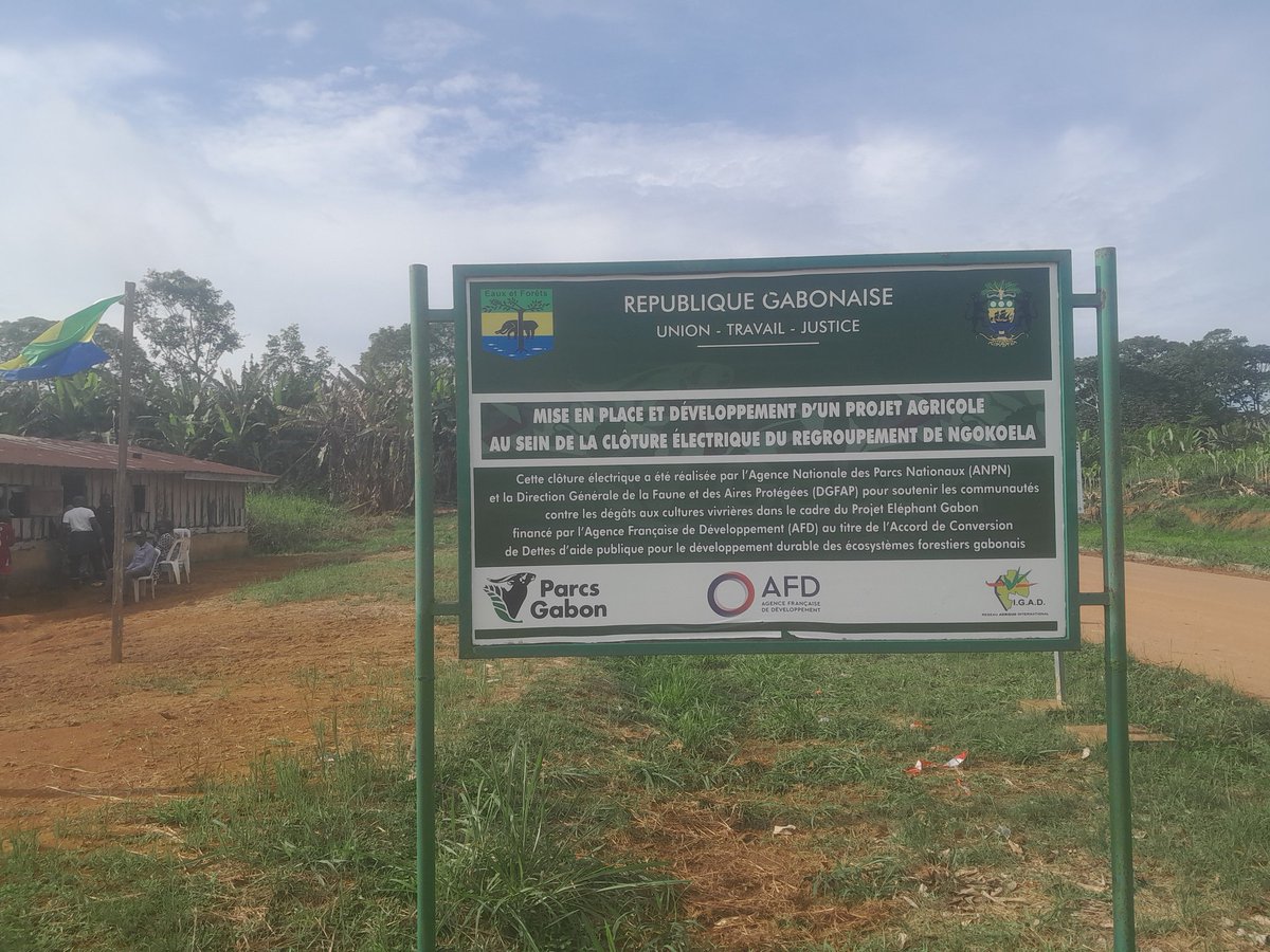ndongeugene's tweet photo. Dans le cadre du projet #CIBEL🇬🇦 financé par @AFD_France, échanges fructueux entre la mission @WWFGabon @Parcs_Gabon et les communautés des villages Ovan et Nze vatican sur l'adaptation des pratiques agricoles dans les clotures électriques #CHF #Communautés 🙆♂️ #Biodiversité 🐘 https://t.co/KDBixBoa2G