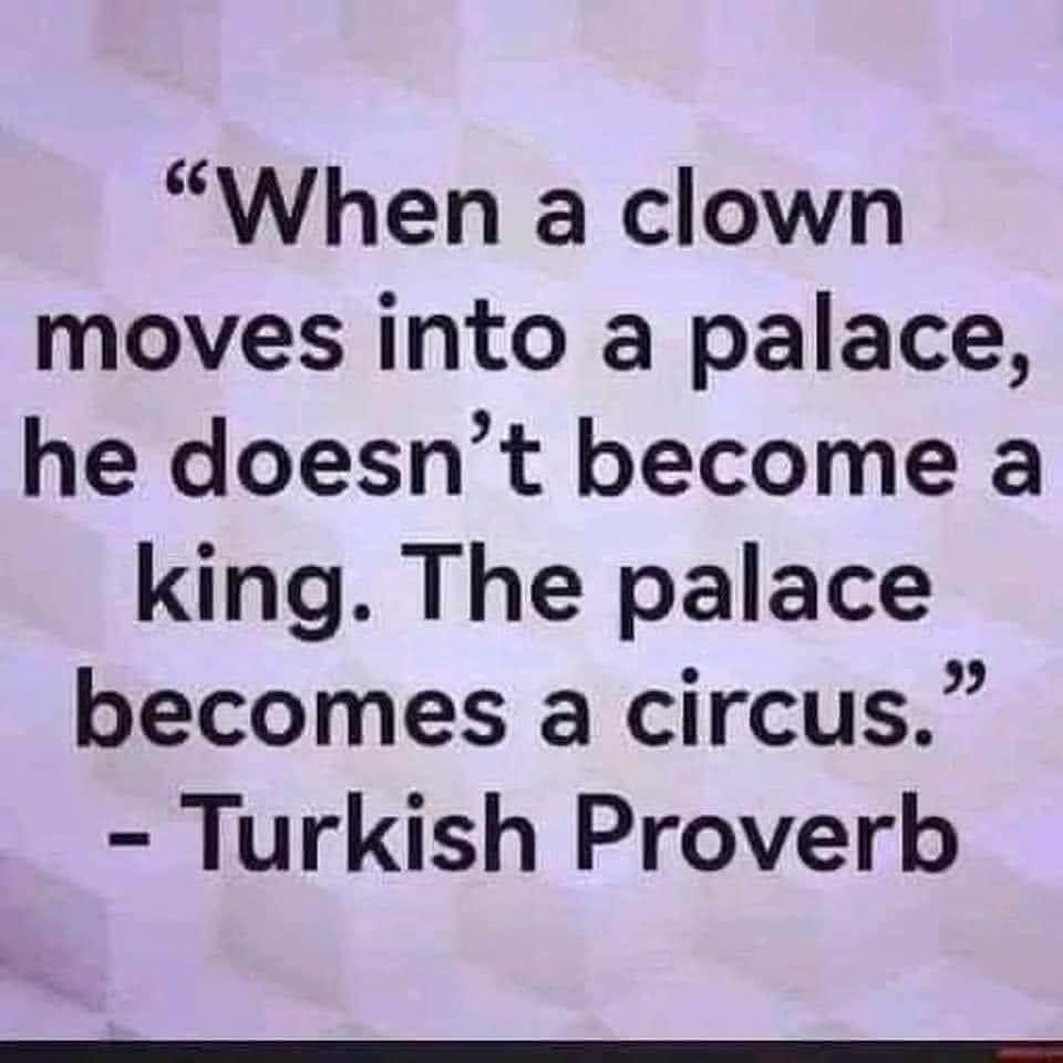 #Trump is a clown. #corrupt #evil #treasonous #seditionist #insurrectionist #fraud #sexualabuser #rapist