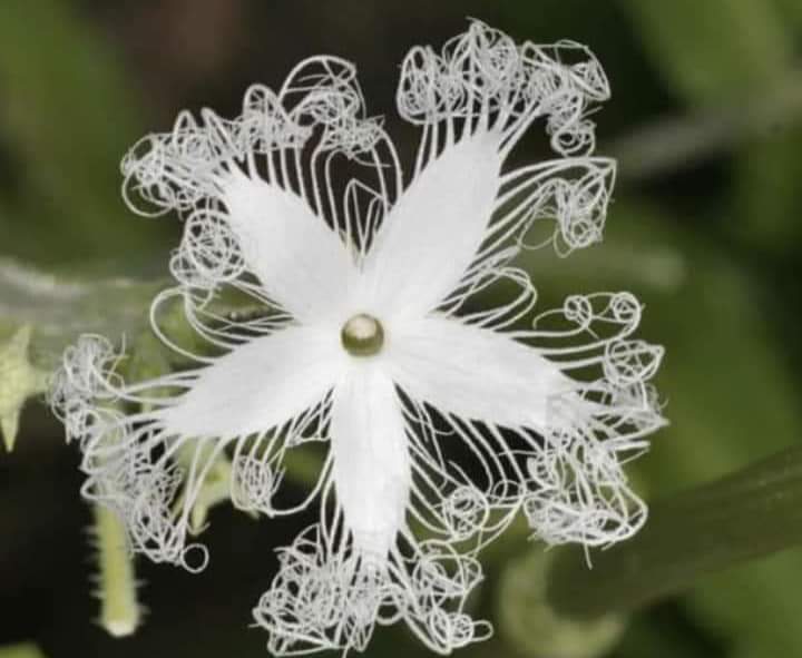 ElPortuMau's tweet photo. #Arte en la #naturaleza Parte I #Art @Maga59C @NoreMdina
@nmy8227 @Tango3OO @marianalongo11 @green2applebite @LyonLeonR @lergpv @leticianavart
@soyKattek @solmarialg @marialeledezmae @sorelyslugo @Khala820196 @Ailenny24 @AlexaRelatos
@GuerreroAzul07 @Tomasa2010 @lizvergara76 https://t.co/F1ep9pMxZV