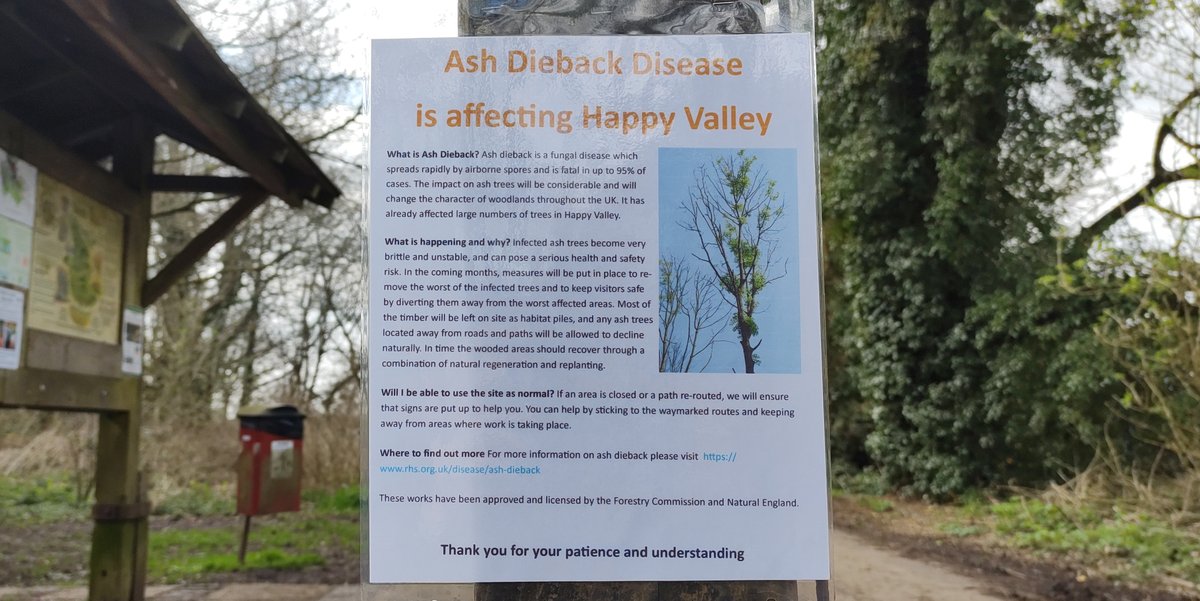 Just a reminder that several of the paths in #HappyValley are still closed due to #AshDieback. For more information, please visit rhs.org.uk/disease/ash-di…