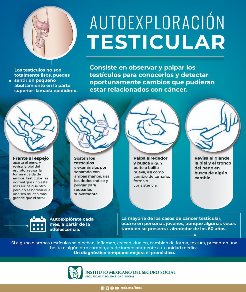 Conoce cómo realizar la autoexploración testicular 🩺

Autoexplórate cada mes, a partir de la adolescencia.