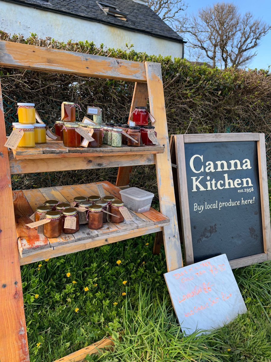 Canna Campsite tweet media