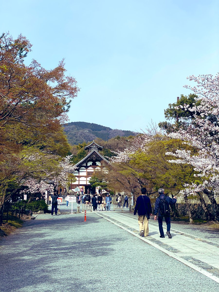 17_rinrin's tweet photo. 京都🌸天龍寺🏯
(てんりゅうじ) https://t.co/NaWtJKt4SE