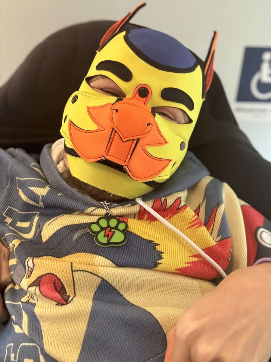 It’s #InternationalAsexualityDay! There’s no wrong way to be ace. All that matters is you’re comfortable with who you are and who you care about. And that includes being demi 😊 #puppyplay #humanpup #gaypup #gaypuppy