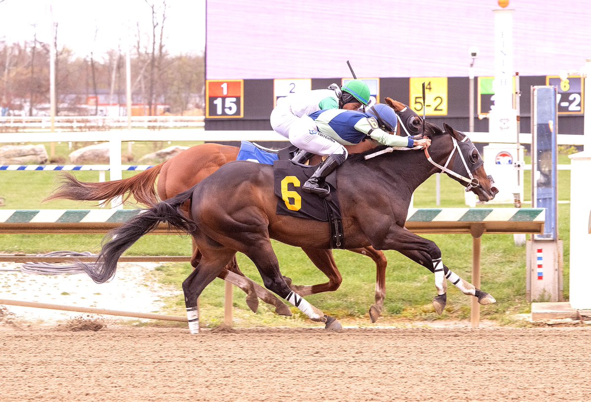 Popular local Threes Over Deuces, 9YO Flat Out gelding, clears $800K mark in earnings with game victory in 5 1/2F N3X allowance @LaurelPark. Record now 65-10-23-10. Ridden by J.G. Torrealba for trainer Gary Capuano and owner Pocket 3’s Racing. (Jim McCue 📷)