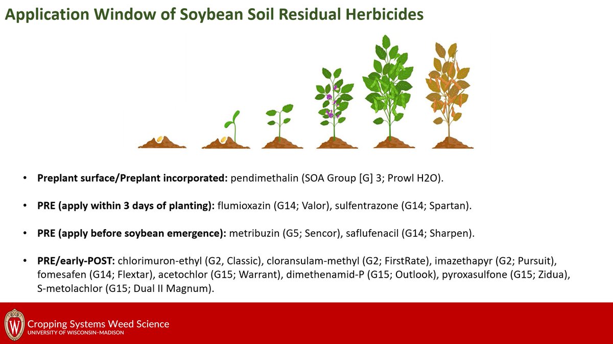WiscWeeds's tweet image. Application window of #soybean soil residual herbicides #plant24 #spray24