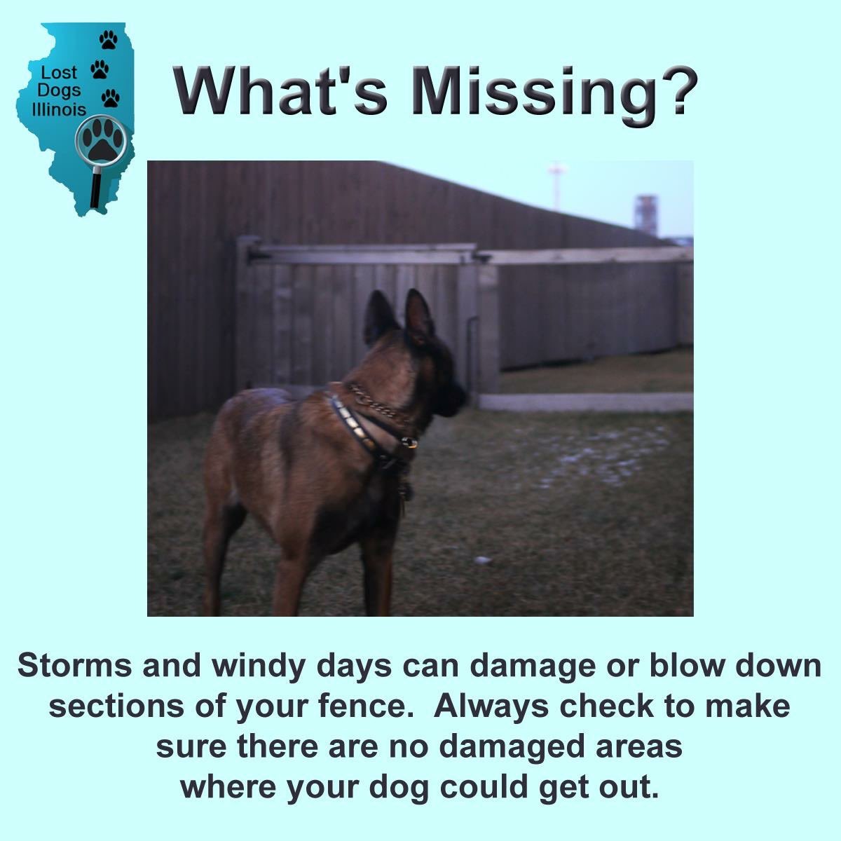 #OTLFP High winds have been much more prevalent in the last several months! Has it been windy recently where you live? Your fence could be damaged in high winds. Check the entire perimeter carefully to make sure your pets can't get out!😱💨💨💨