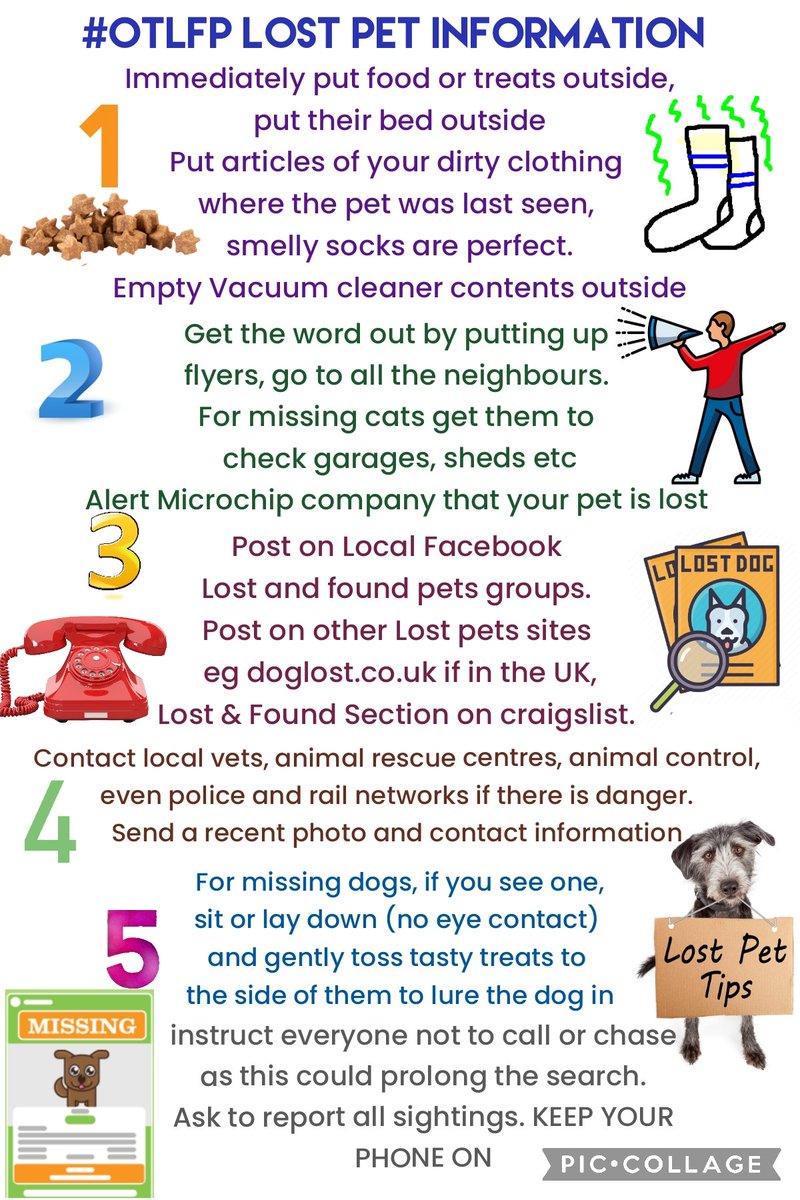 What happens if you pet gets lost? Here are some helpful ideas. Tell people.get it on social media. alert the microchip company so if your pet is scanned they get returned quickly.For UK pals register dogs on @DogLostUK it sends alerts to local people who are registered #OTLFP