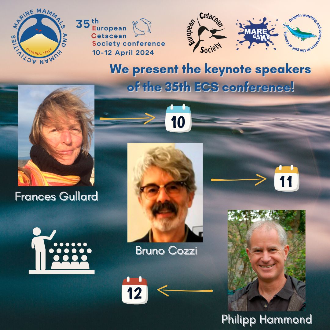 European Cetacean Society (@eurocetsoc) on Twitter photo Exciting lineup at the conference! Francesc Gulland, Bruno Cozzi, and Philip Hammond will open each day of the #ECSconference2024 with insightful talks on marine mammals. Check our website for more details: europeancetaceansociety.eu/conference-pro…
#ECS
<a href="/Marecamp_CT/">Marecamp association</a> Exciting lineup at the conference! Francesc Gulland, Bruno Cozzi, and Philip Hammond will open each day of the #ECSconference2024 with insightful talks on marine mammals. Check our website for more details: europeancetaceansociety.eu/conference-pro…
#ECS
<a href="/Marecamp_CT/">Marecamp association</a>