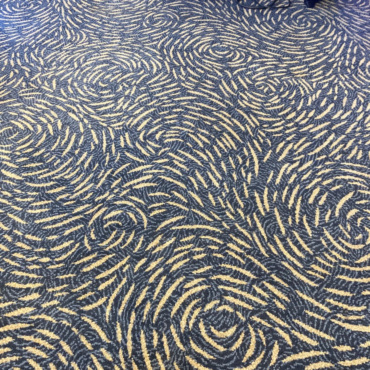 Hilton carpet accurately reflecting the inside of my brain on the final day of #ISA2024