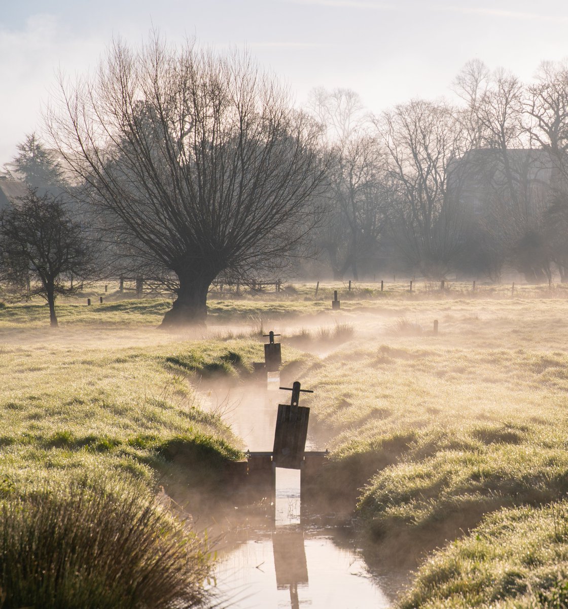 Harnham Water Meadows