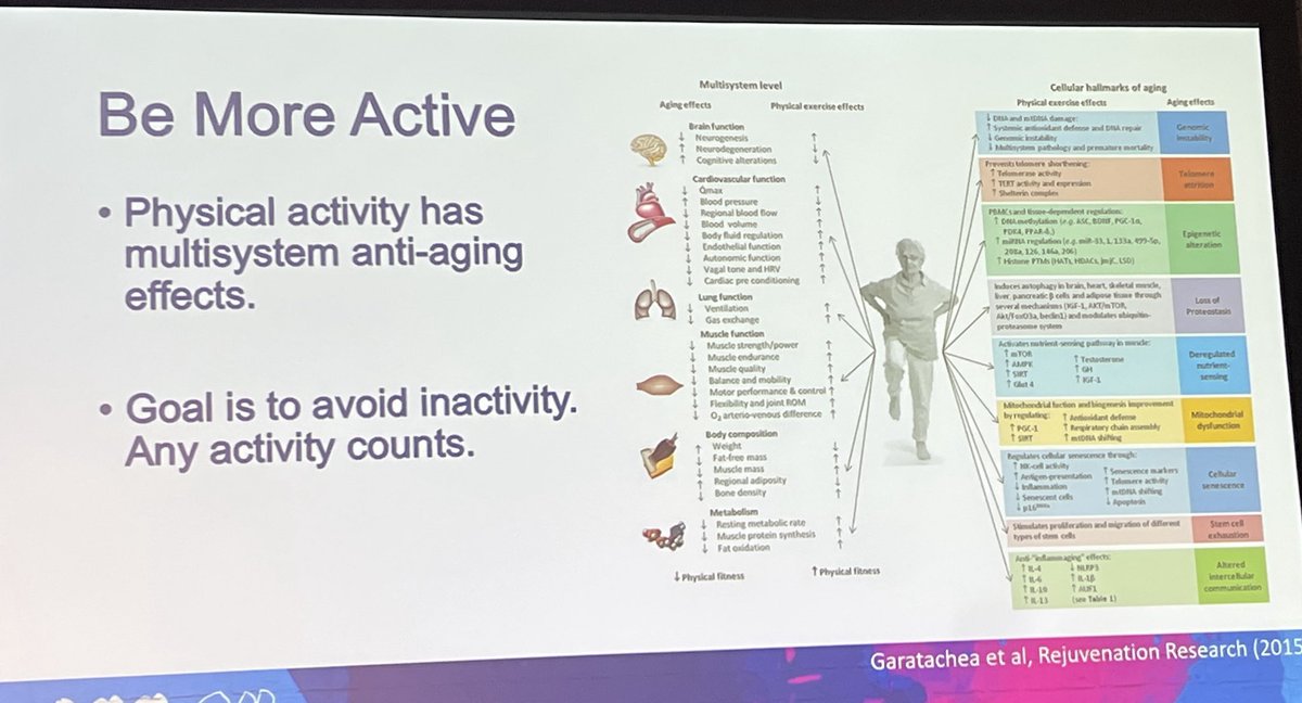 Linda Hart (@drlindahartnp) on Twitter photo <a href="/ACCinTouch/">American College of Cardiology</a> <a href="/ParagGoyalMD/">Parag Goyal MD MSc</a> considerations for aging patients #ACC24 <a href="/jae_patton/">Jae Patton, CRNP, AACC</a> <a href="/ACCinTouch/">American College of Cardiology</a> <a href="/ParagGoyalMD/">Parag Goyal MD MSc</a> considerations for aging patients #ACC24 <a href="/jae_patton/">Jae Patton, CRNP, AACC</a>