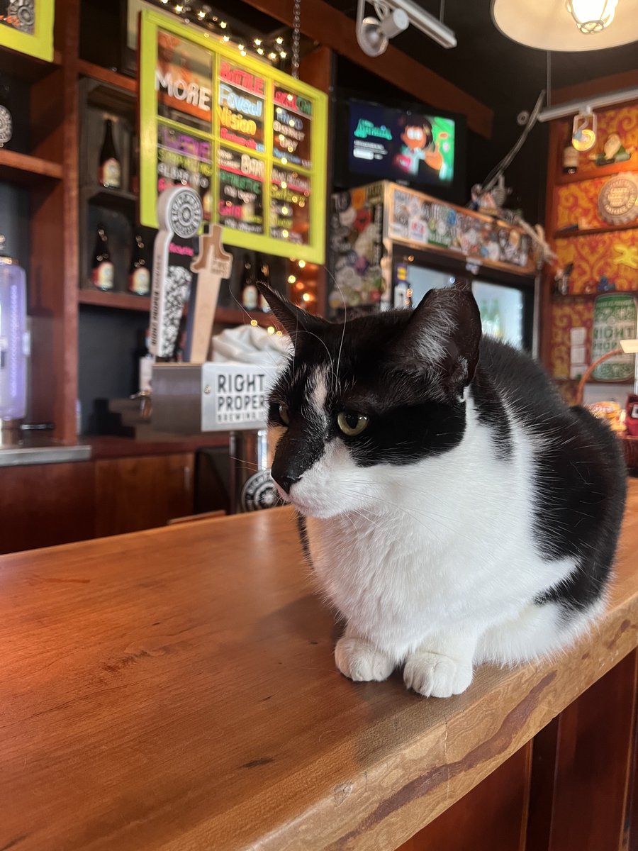 .@RightProperBeer Brookland is the first non-2 Amy’s affiliated bar/restaurant I know of in DC that does service-inclusive pricing (beers are $10 w/ tax). One of the coolest bar spaces in DC IMO. The Goat Rodeo Maibock (6.9%) is awesome. Yes that’s a cat.