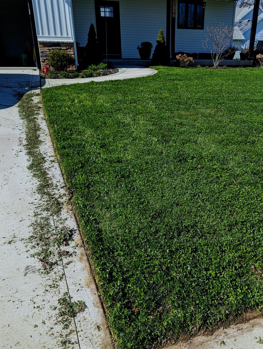 First picture was April 11th Last year, second is Today (April 6th). Clover does a hell of a job fixing bad soil.