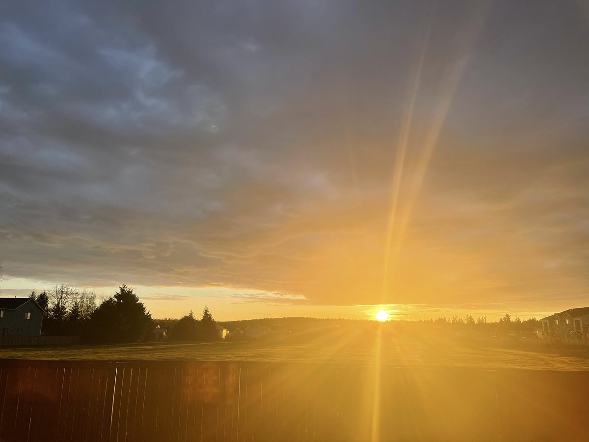 Laura Sanders tweet media