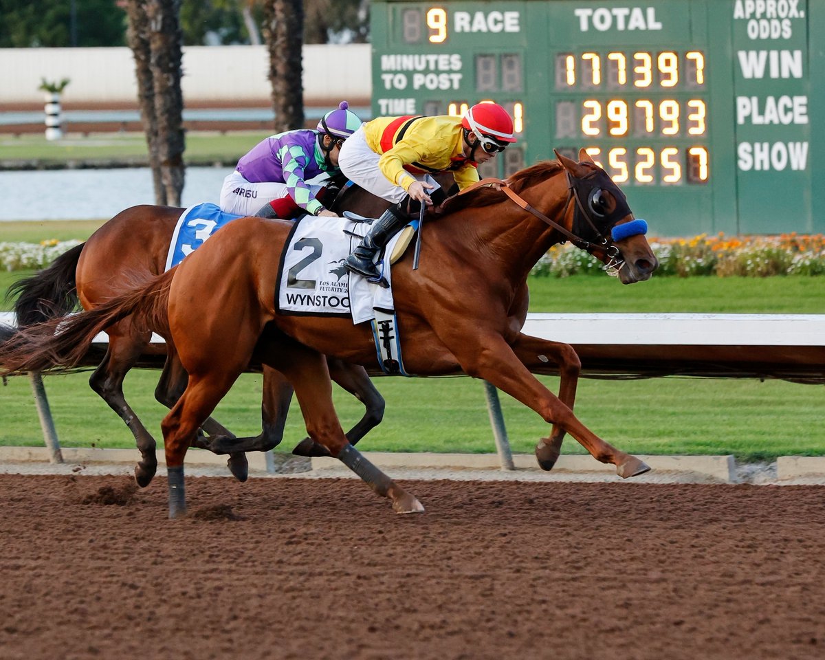 Grade 2 winner IMAGINATION or his stablemate Wynstock (NY) will both try to give trainer Bob Baffert a record 10th Santa Anita Derby w. 📸 Justin Fine & Richard Steele