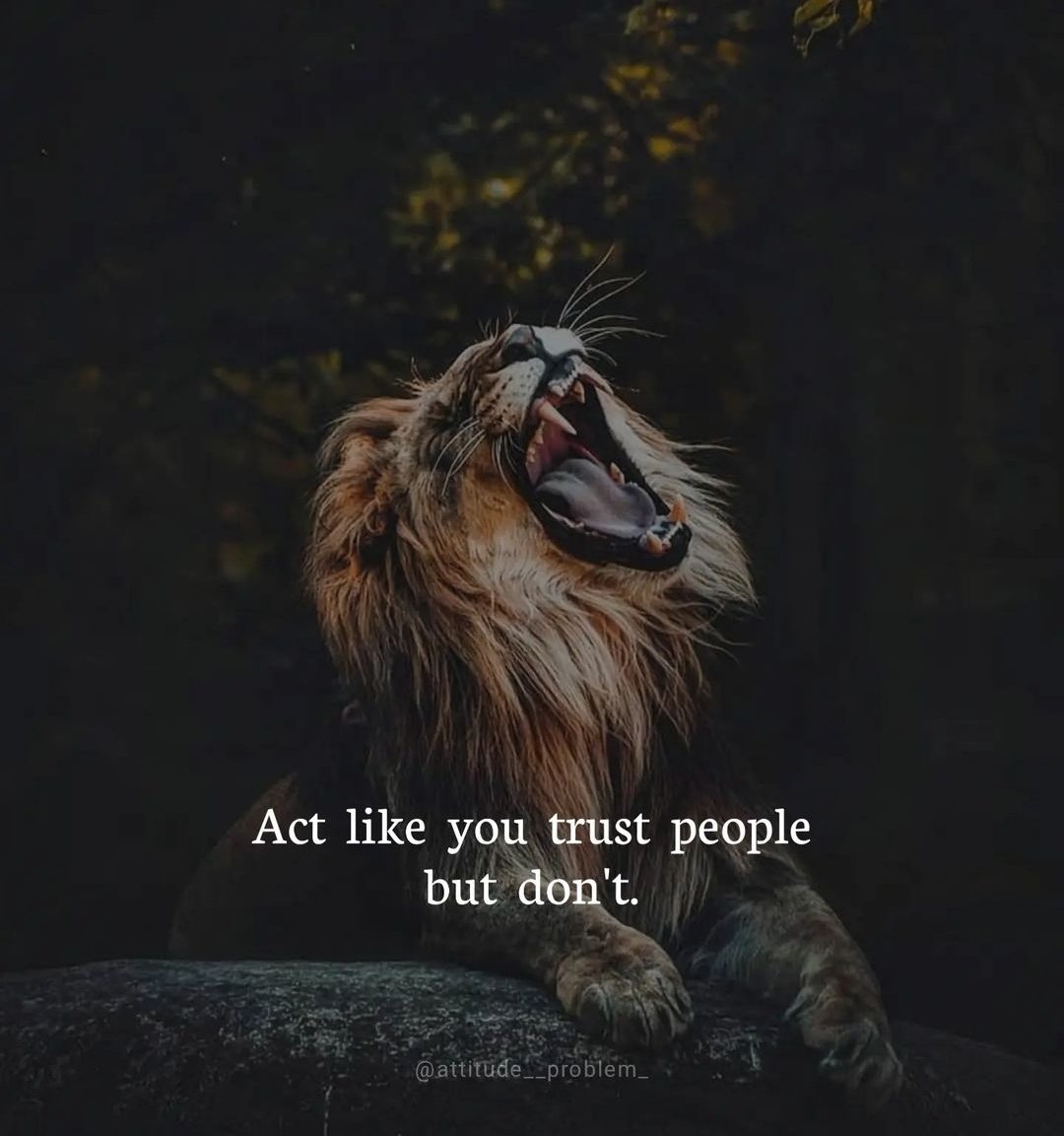 Mind_Essentials's tweet photo. https://t.co/CFQFqFuEhG