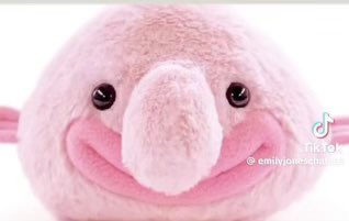 Extensive scientific research shows that this is the last image the human brain creates at the point of death. Could this be god himself?