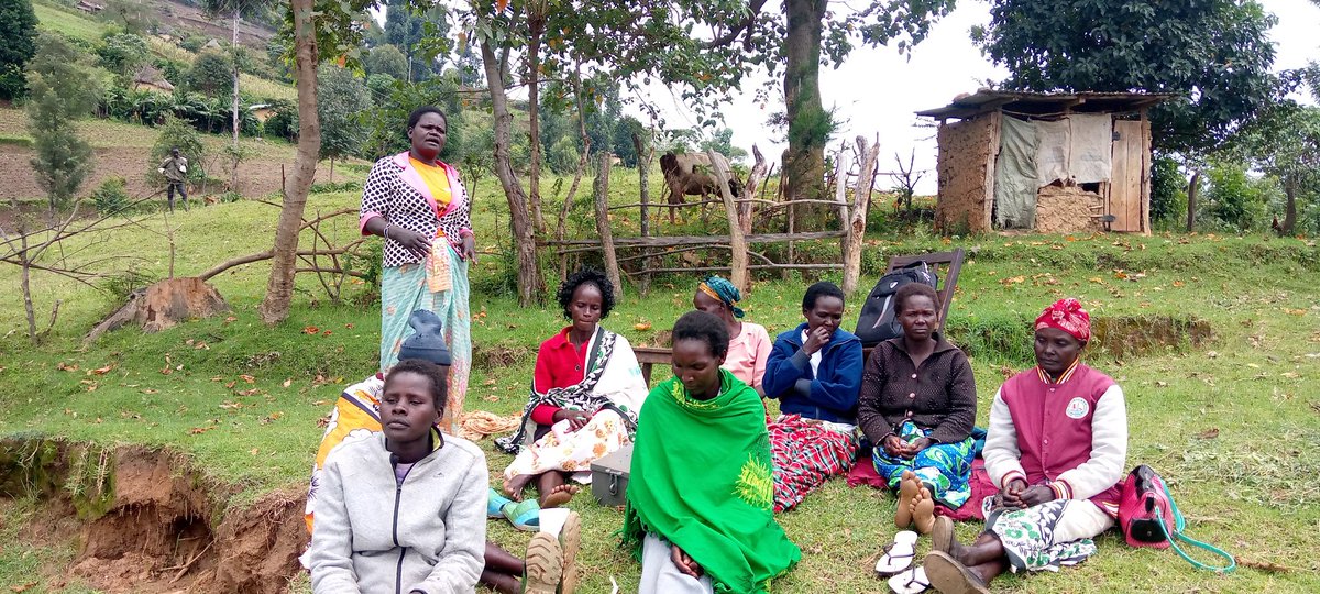 #Businessmentor 
This week facilitating business mentorship for women led farmer groups in #CSA covering topics on savings,leadership,advocacy and gender.Discussing actions for expansion and diversification #WEECSA 
@FAOKenya @unwomenkenya @village_ent @westpokotcounty
#koica