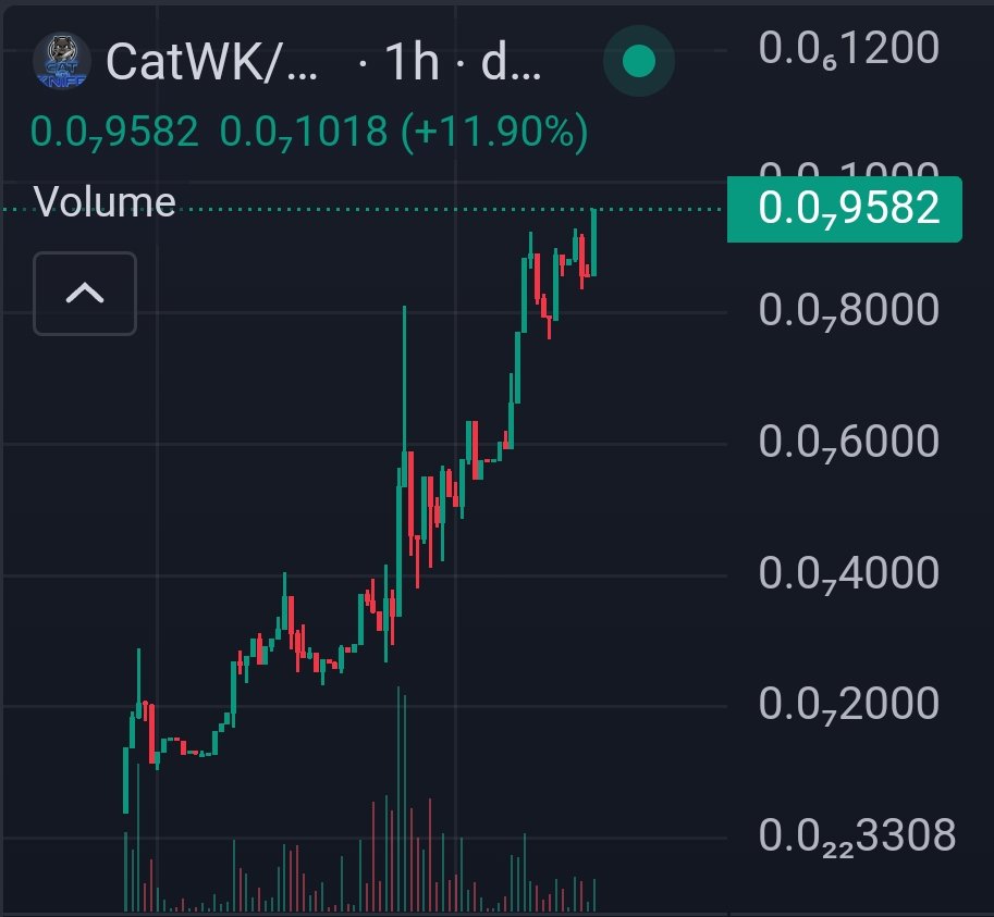 $CatWK is the ticker 

Day 3 , show me a better chart of community memecoins on #Cronos 

All diamond handing at ATH 
That 0 will be eaten tonight 😺🔪💎

#Caw #Corgiai #Ryoshi