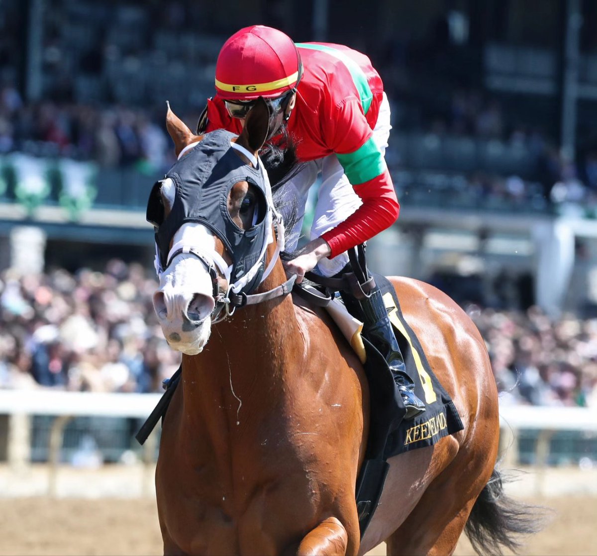 ¡Discreet Mischief, nueva ilusión de @HarasSumaya en Estados Unidos! 🇺🇲 El hijo de #IntoMischief y Brushwork galopó por 8¼ cuerpos a Timeout en un maiden special weight de 1.400 metros corrido hoy en @keenelandracing. ¡Felicitaciones a todo el #TeamSumaya! ❤️💚 (📸: Coady Photo)