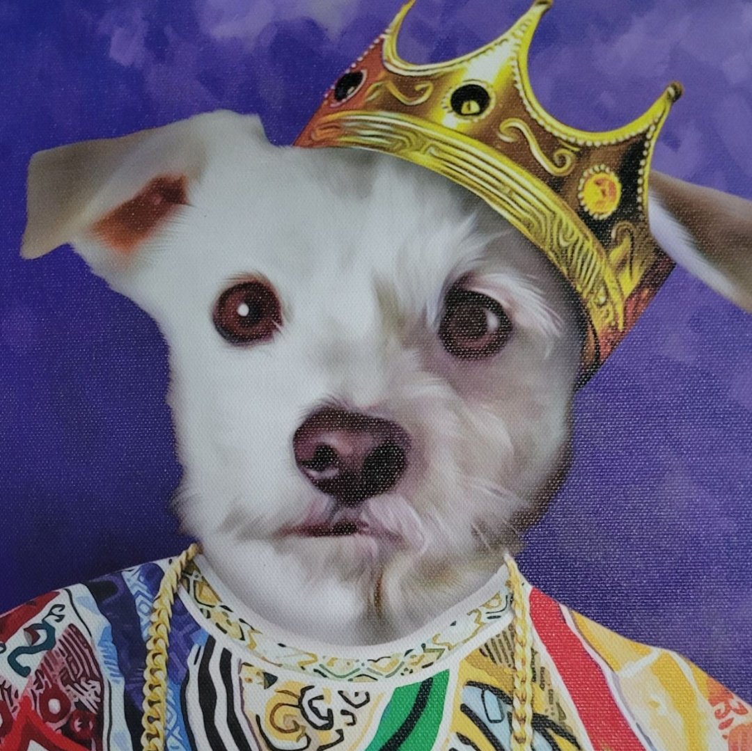 wannabtrading's tweet photo. @blknoiz06 Rate Doggie Smalls bro. $Biggs https://t.co/q9nmJCZb8o