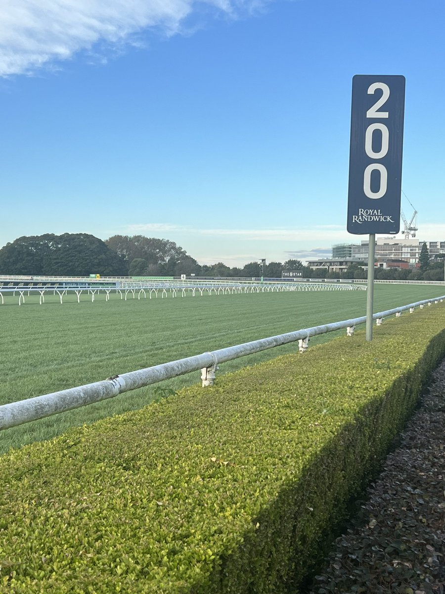 CaroSearcc's tweet photo. What an incredible day’s racing it was yesterday at Royal Randwick .. morning after, track looks in great order considering the deluge! Congrats Michael @Woodracing1985 & team for their great preparation of the racing surface .. Do it all again next week! @aus_turf_club 👏👏❤️🐎 https://t.co/jkR6jdkVxW
