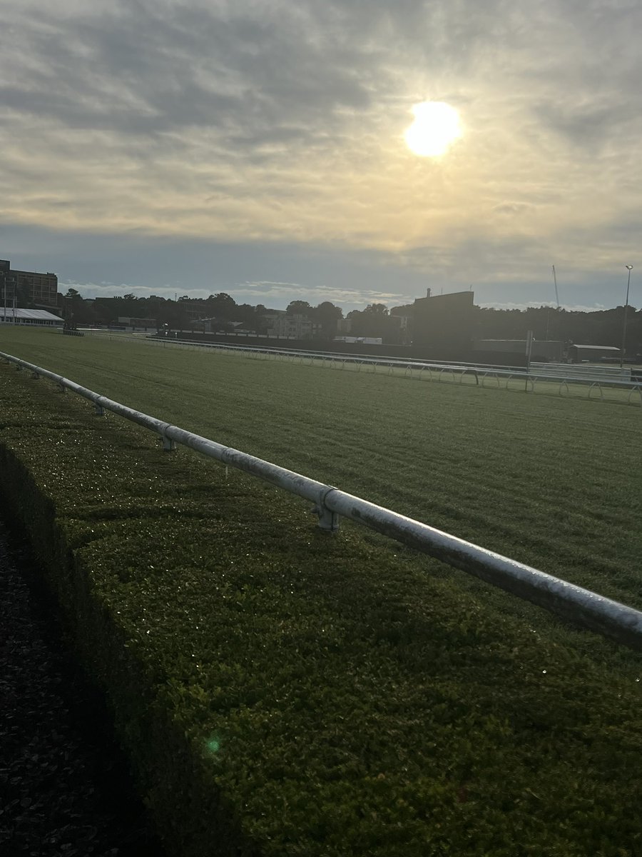 CaroSearcc's tweet photo. What an incredible day’s racing it was yesterday at Royal Randwick .. morning after, track looks in great order considering the deluge! Congrats Michael @Woodracing1985 & team for their great preparation of the racing surface .. Do it all again next week! @aus_turf_club 👏👏❤️🐎 https://t.co/jkR6jdkVxW
