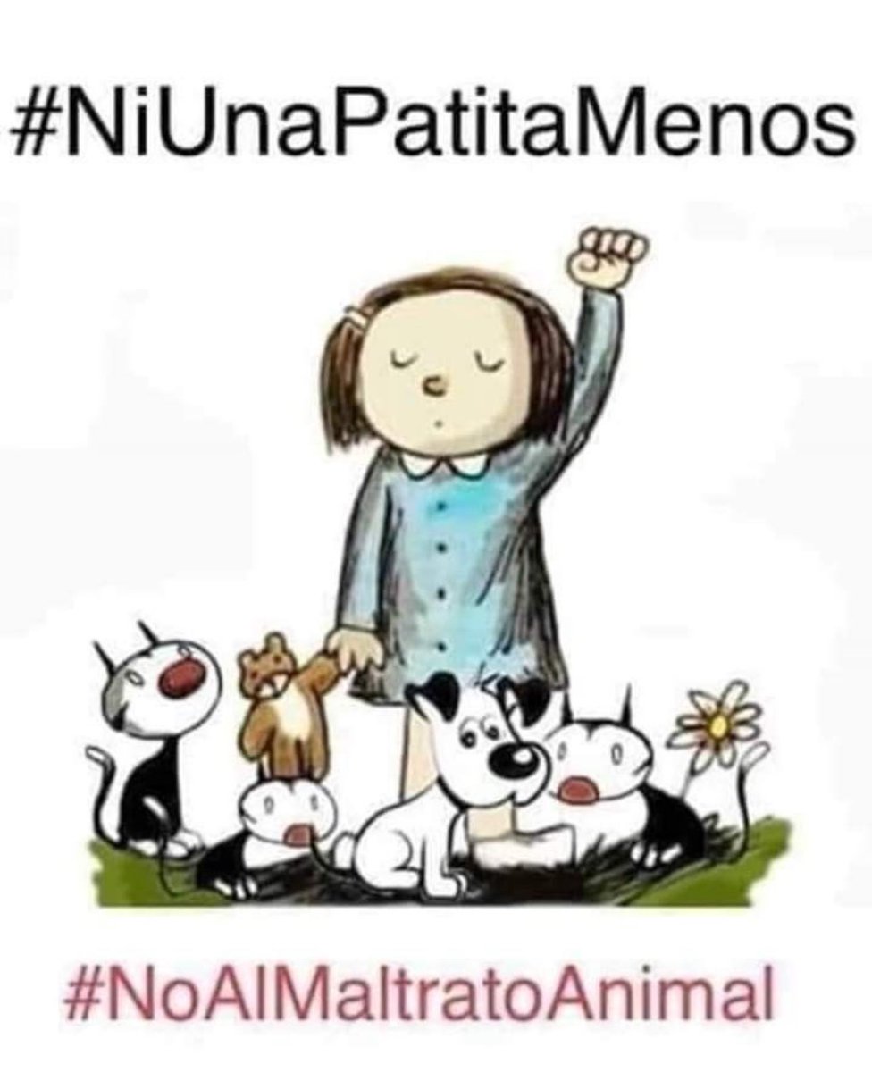 mayumiguillen's tweet photo. https://t.co/bE0D2Rlp5H