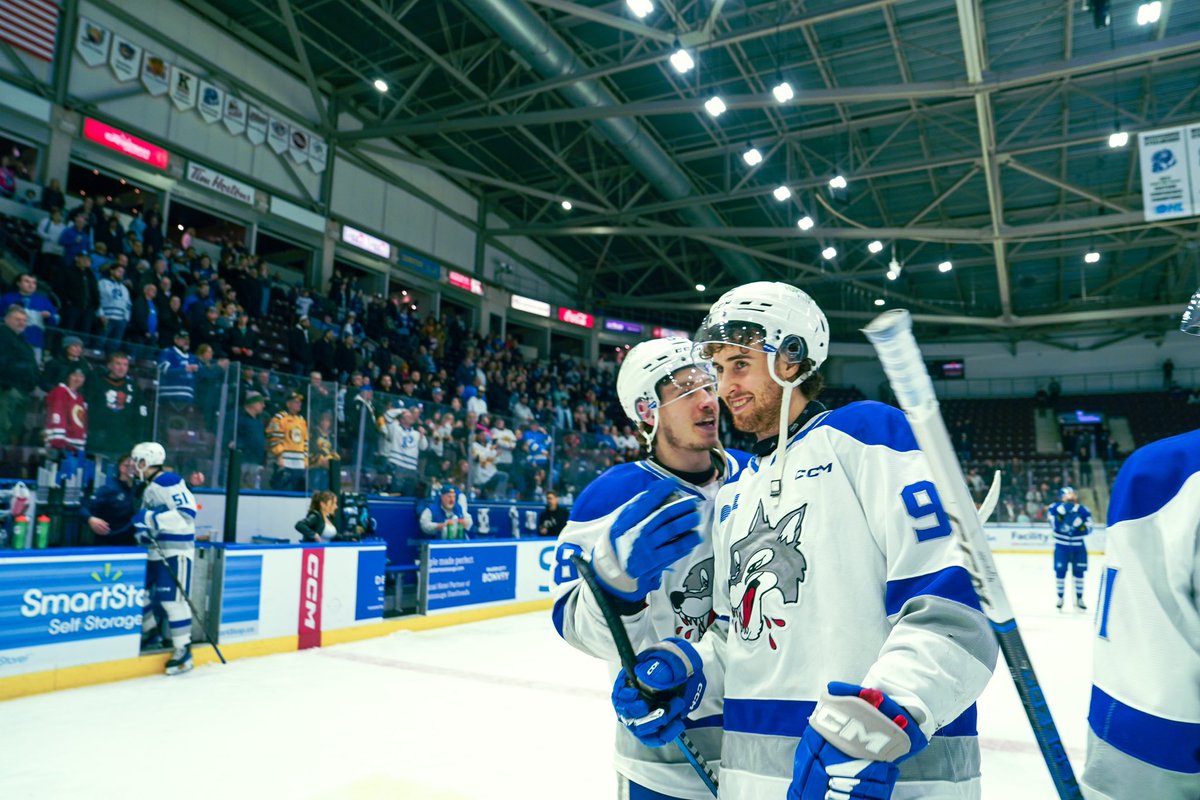 Sudbury Wolves (@sudbury_wolves) on Twitter photo Bring back that winnin’ feelin’ #HowlYeah Bring back that winnin’ feelin’ #HowlYeah