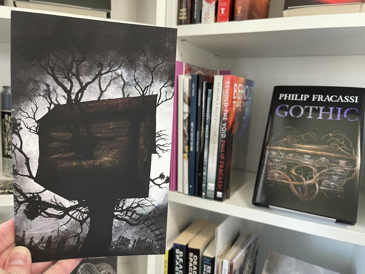 It’s been a great week to be a @PhilipFracassi fan! Not only did his new story collection NO ONE IS SAFE come out, I also received his screenplays for BOYS IN THE VALLEY and GOTHIC, plus a totally cool chapbook exclusive to his Patreon: “I Think My Treehouse Is Haunted”🌲👻⭐️