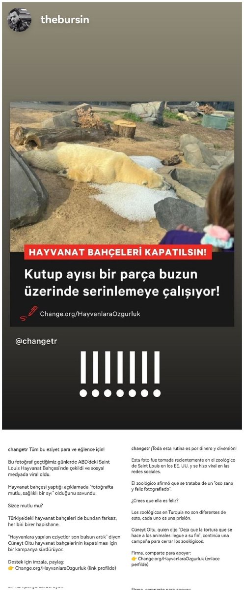 Conocida es la postura de Kerem en cuanto a los animales que están en los zoológicos. En esta ocasión apoya la recogida de firmas de la campaña de Cüneyt-Oldu, para el cierre de los zoos en Turquía. Junto al de los circos, parques acuáticos, tiendas de animales 💚📝 #KeremBürsin