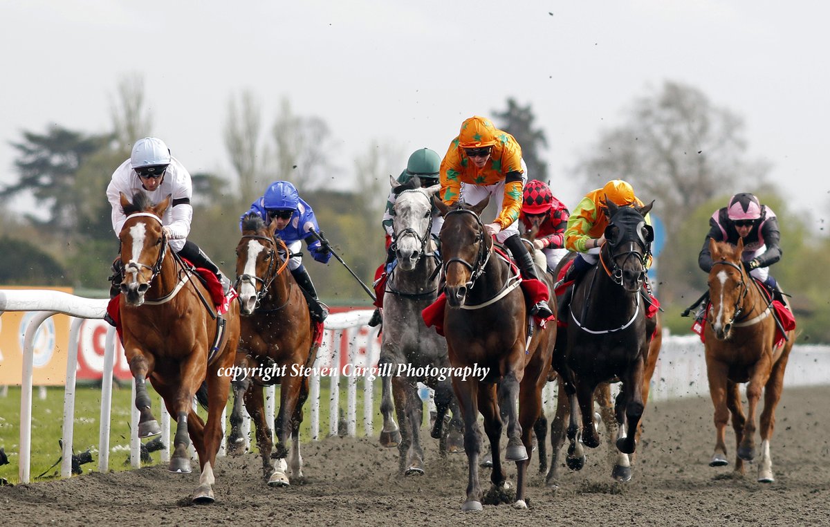 7th win for 7yo g CEMHAAN @neilcallan78 in 11f Roseberry Handicap @kemptonparkrace today for @PetitTellier Muhaarar @GBakerRacing