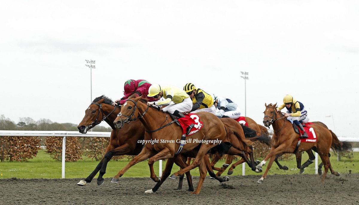 2nd win for 5yo ADELAISE in 8f fillies LR Snowdrop Stakes @kemptonparkrace today for @haras_du_mazet Lawman @JosephOBrien2