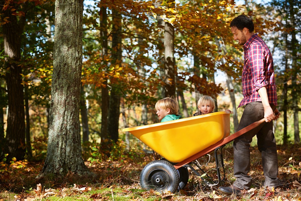 Grab the gardening team! 🍂 FREE green waste drop-off is on again this Wednesday April 10 at the Heathfield, Woodside and Gumeracha Depots between 9 am and 4 pm. Find out more 👉 ahc.sa.gov.au/greenwaste