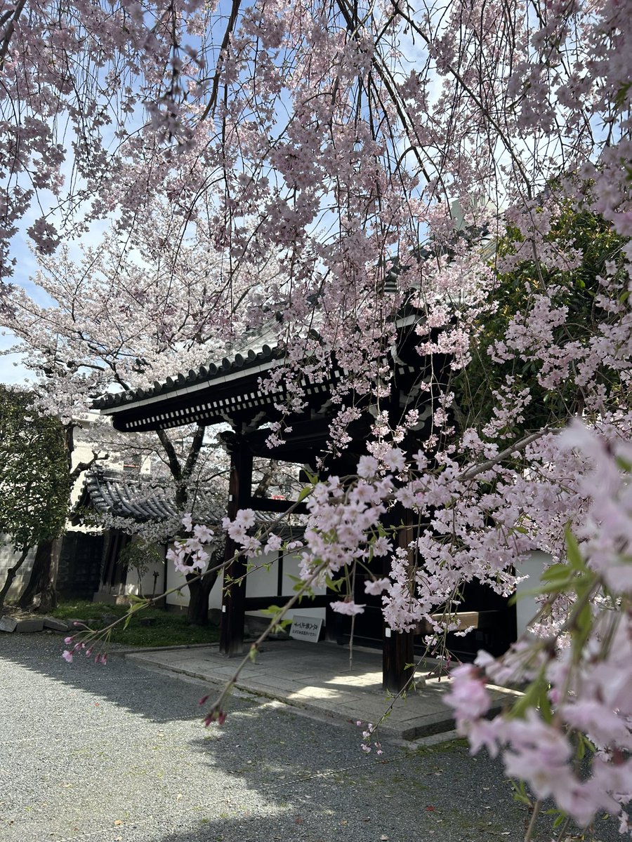 ___Phyllis___'s tweet image. 