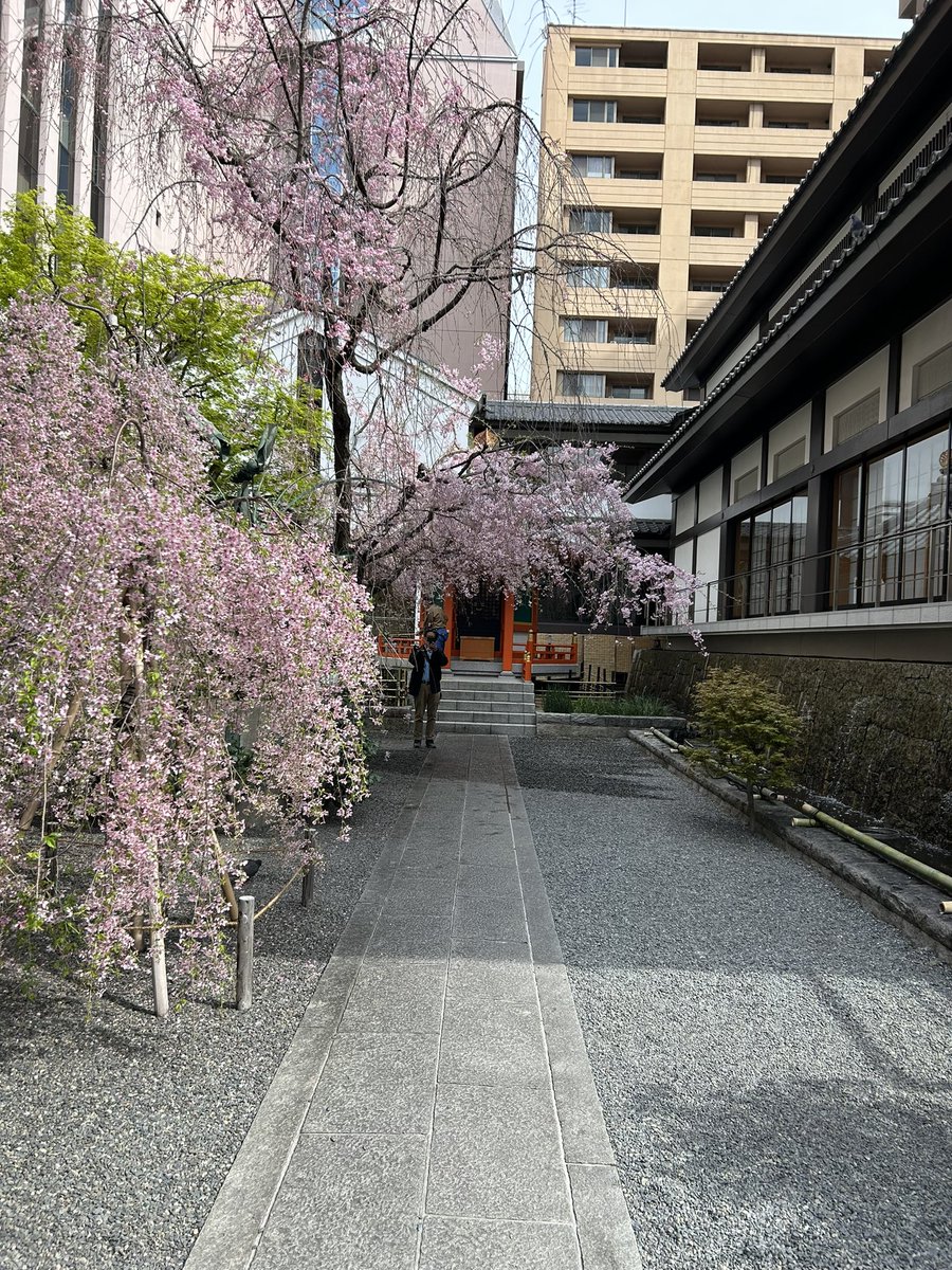 ___Phyllis___'s tweet image. 