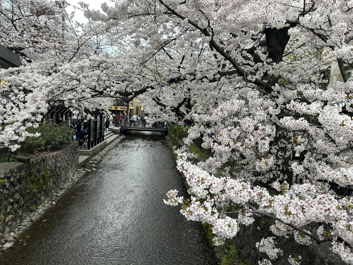 ___Phyllis___'s tweet image. 