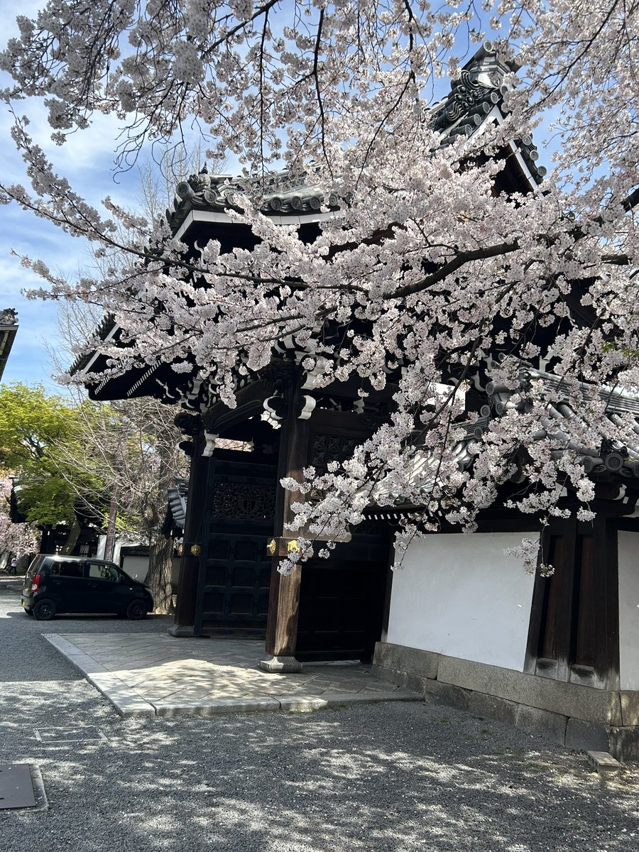 ___Phyllis___'s tweet image. 