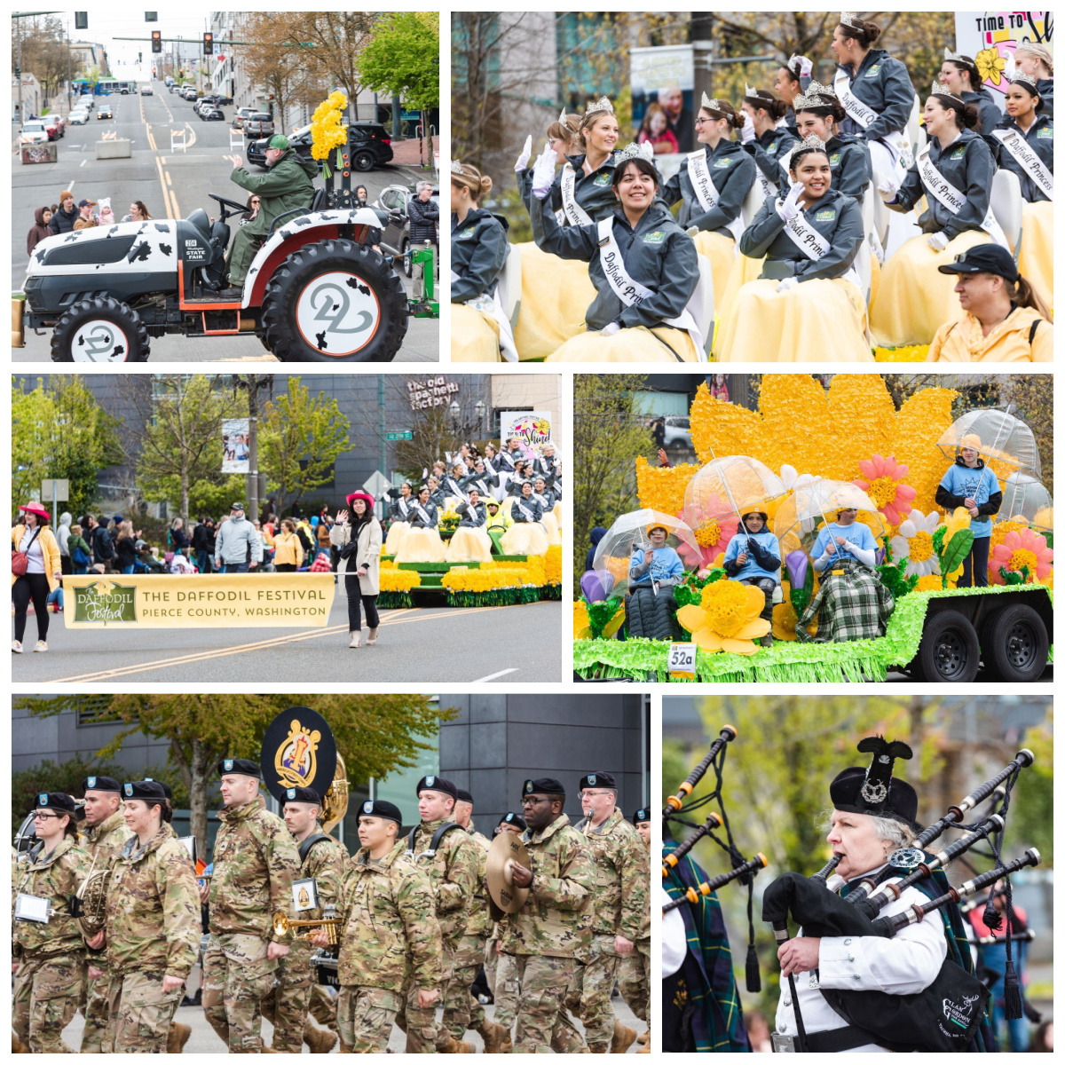 💛 Shining scenes from the 2024 Daffodil Parade in Pierce County 💛 PHOTOS: seattlerefined.com/lifestyle/91st…
