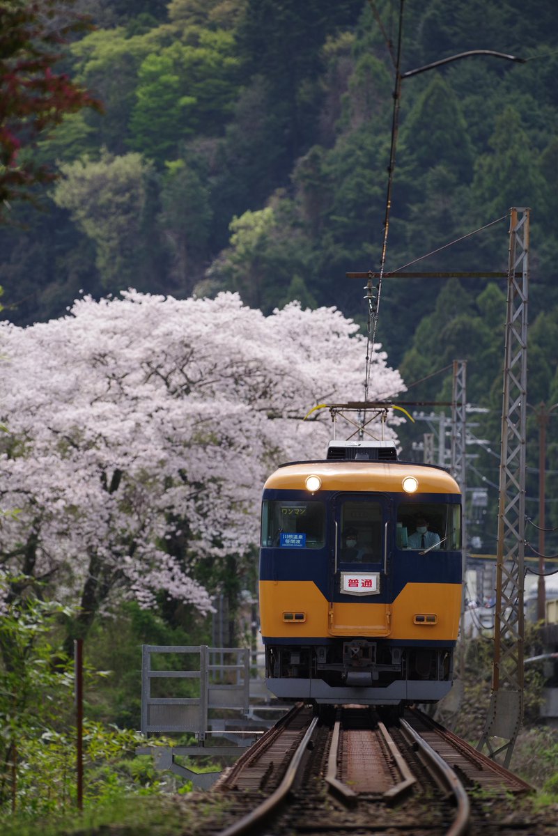 釣果 #pentaxk1mkii #pentax_da300 #大井川鐵道