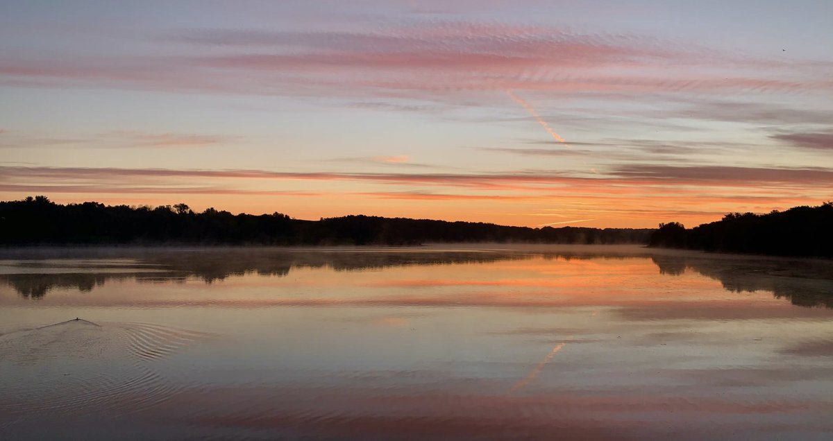 Skybound Perspectives tweet media