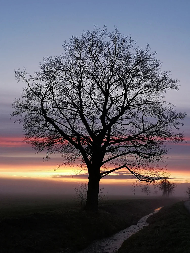 Morgenstimmung am Bach von systemhaus d 

Huawei P20 Pro | 5.6 mm | ISO 80 | f/1.8 | / s 

Das Bild des Tages aus unserer c't Foto-Galerie