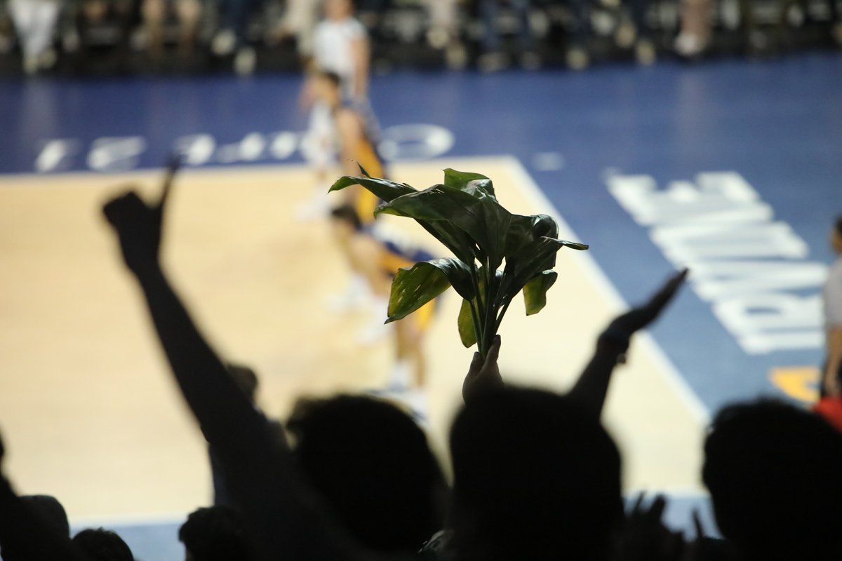 Keep it going! Timeout Eaters. S4 | UH 7 - UCI 2 📸: Julie Kim