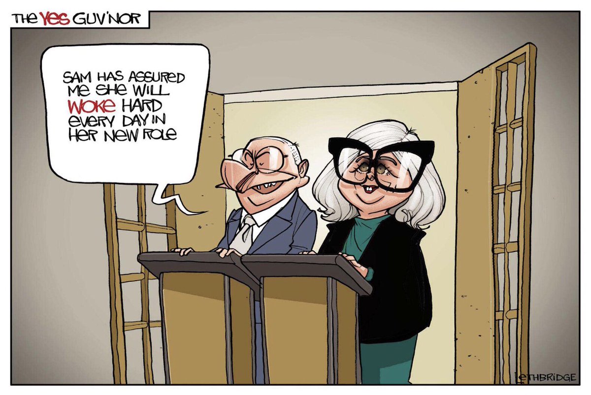 Lethbridge On Point With His Cartoon On New GG Mostyn #Albozo #CaptainsCall #GovernorGeneral #WokeMostyn