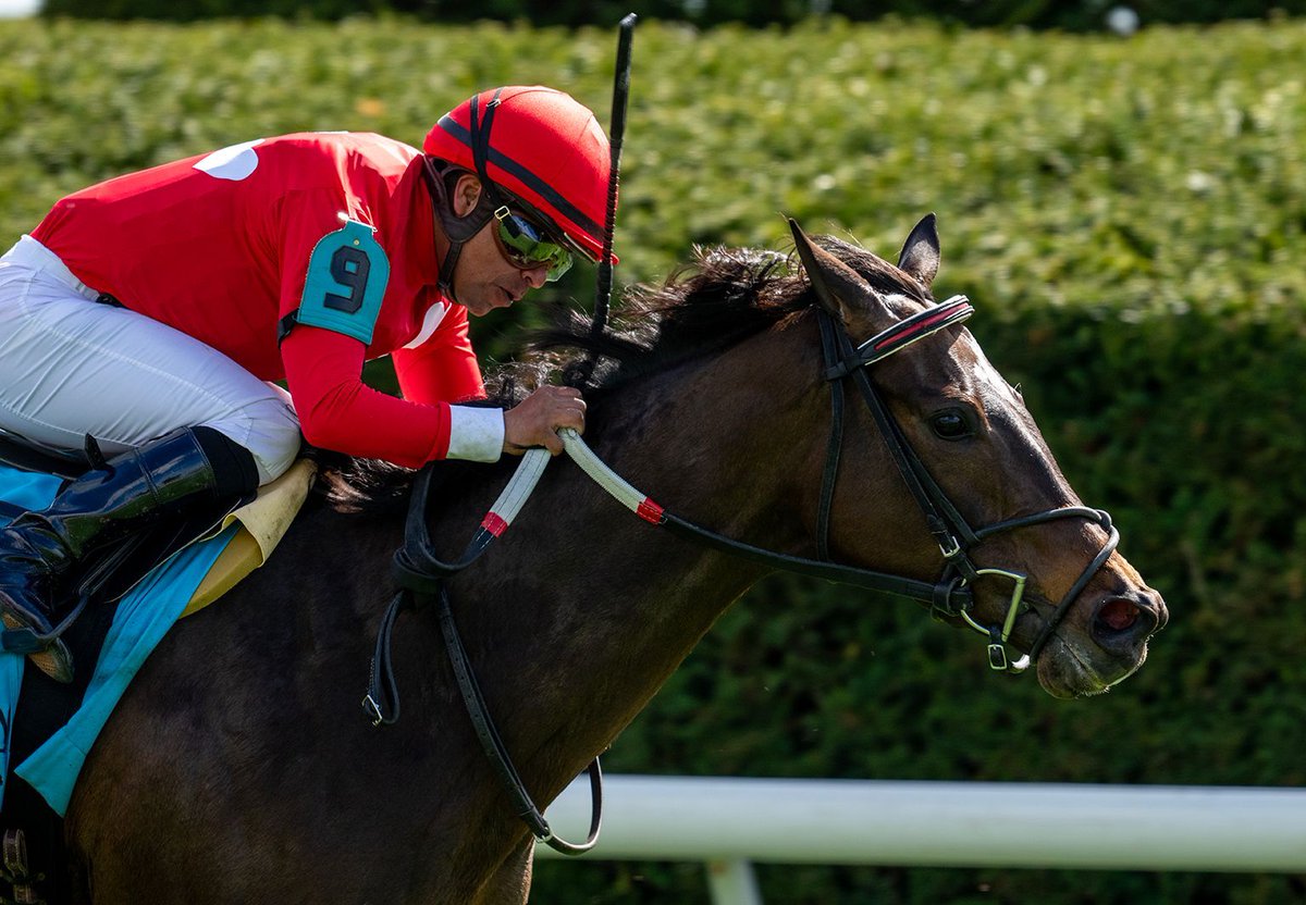 Buchu Doubles Up In Keeneland Stakes. Rigney Racing homebred Buchu (3f Justify x Flowering Peach, by Galileo) started her 3-year-old campaign off with a... bit.ly/4anau4F