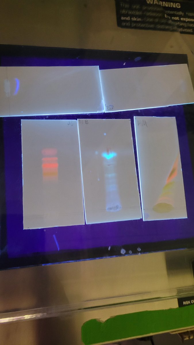 Another great Women in Science conference with some awesome sophomores! They asked lots of great questions and learned so many new things! #lakeviewvikes