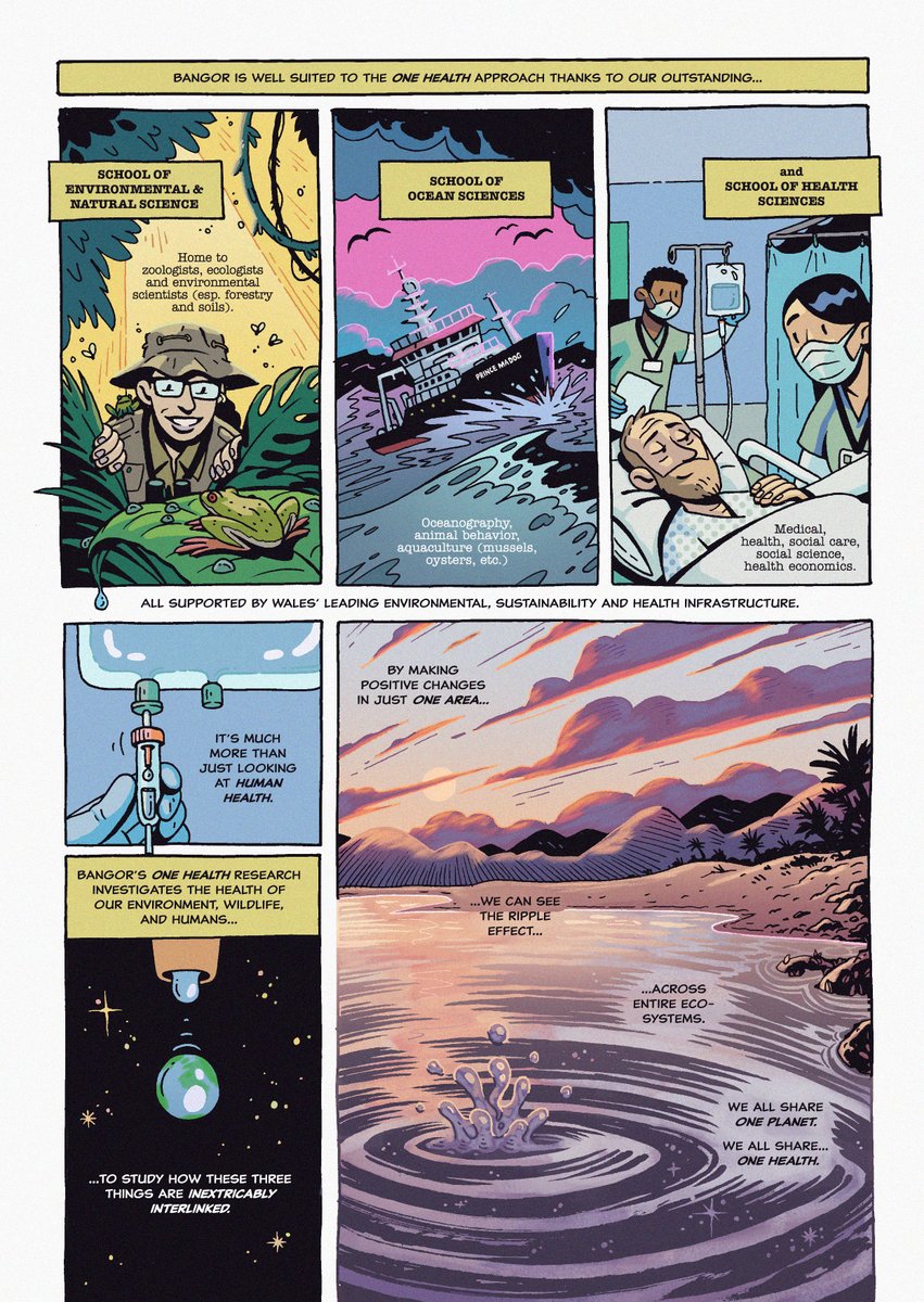 With sewage in UK waterways making headlines lately, it seems like a good time to share the comic @RikWorth @jp_jordan and I created with One Health @BangorUni about their research.